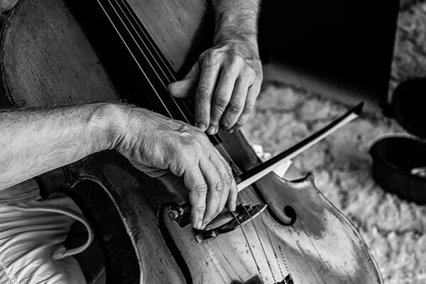 Bild vergrößern: Cellist