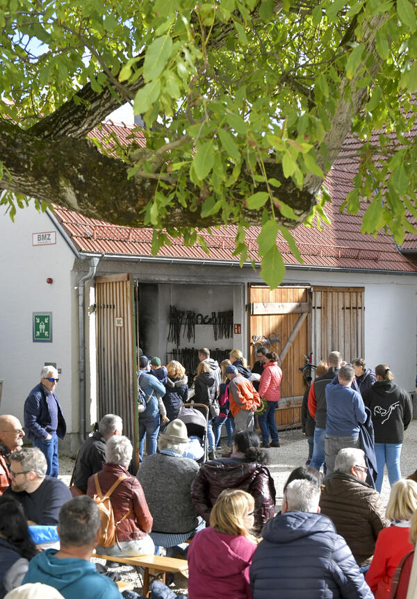 Bild vergrößern: UR_herbstmarkt-8