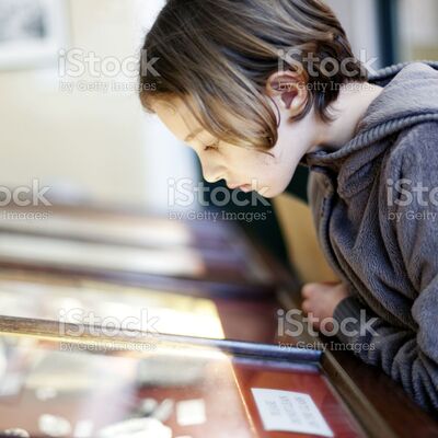 Bild vergrößern: A young girl looking at an exhibit in a glass display case in a museum, Lyme Regis, Dorset, UK