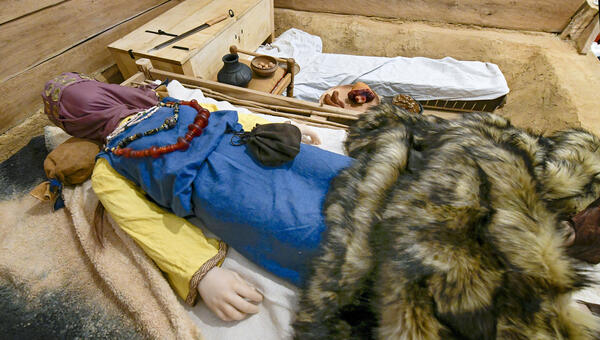 Bild vergrößern: Puppe in Kammergrad liegend