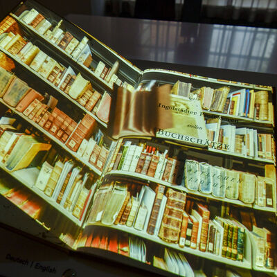 Bild vergrößern: Das Lebende Buch: Die Bücher fliegen aus dem Bibliotheksregal.