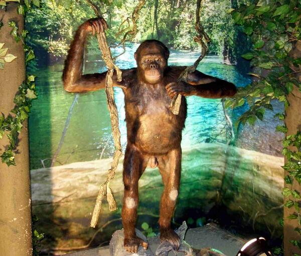 Bild vergrößern: Vom Affen zum Ich - Lucy, Udo, Neandertaler. Auf der Spur der Urzeitmenschen